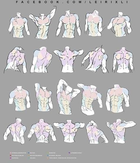 Male body drawing references Male Body Drawing, Male Hairstyles, الفن الرقمي, Man Anatomy, Anatomy Tutorial, Body Drawing Tutorial, Anatomy Sketches, Anatomy Poses, Body Reference Drawing