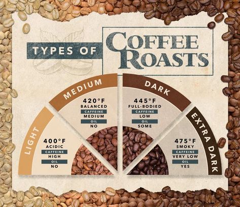 Infographic showing different types of coffee roasts. Coffee Shop Supplies, Coffee Roasting Process, Order Coffee, Coffee Infographic, Types Of Coffee, Coffee Facts, Coffee Grinds, Medium Roast Coffee, Dark Roast Coffee