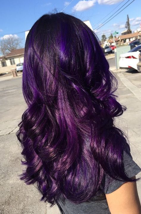 Purple Hair With Dimension, Dark Purple Baylage Hair, Long Violet Hair, Purple Hair With Purple Highlights, Black And Purple Halo Hair, Dark Purple Halo Hair, Deep Purple Hair On Black Women, Intense Violet Hair Color, Purple Hair On Dark Hair