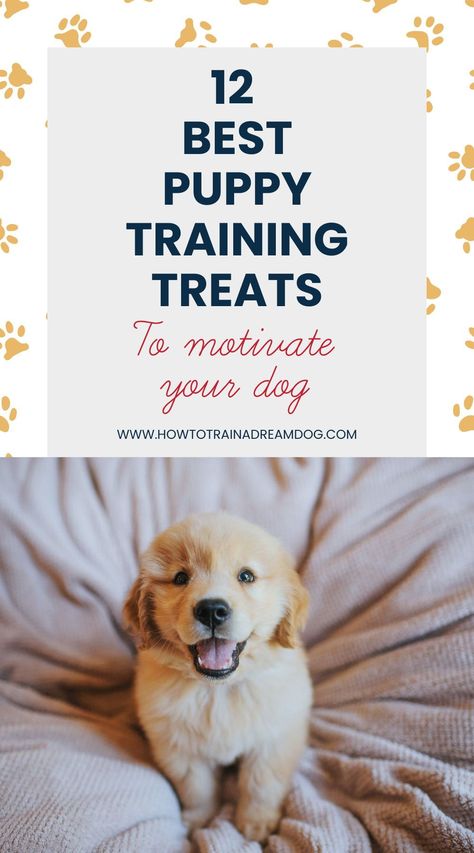 Discover the top treats to motivate your puppy during training sessions. These treats are not only delicious but also healthy, making them perfect for frequent rewards. Learn which treats capture your puppy's attention best and help them learn faster. Best Puppy Training Treats, Best Training Treats For Puppies, Best Treats For Puppies, Lab Puppy Training, Puppy Games, Dog Training Treats Recipe, Puppy Training Treats, Puppy Starter Kit, Female Dog Names