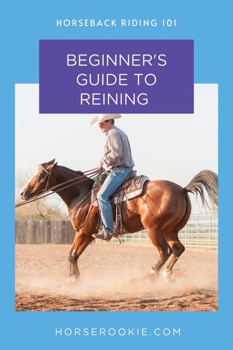 Reining is a great place to start your western horse riding career. Learn about some of the basic concepts of reining, the tips and maneuvers that are most common and how the scoring system works. Understanding what the judges are looking for gives you a template on what exercises to train with your horse. Western Horse Training, Reining Horses Training, How To Ride A Horse Western, Reining Patterns, Reining Training, Western Horse Riding, Horse Training Exercises, Horse Ownership, American Quarter Horse Association