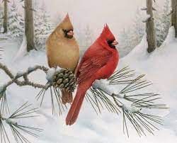 Winter Bird Painting, Cardinal Couple, Northern Cardinal, Winter Bird, Watercolor Paintings Easy, Christmas Bird, Winter Painting, Bird Painting, Bird Pictures