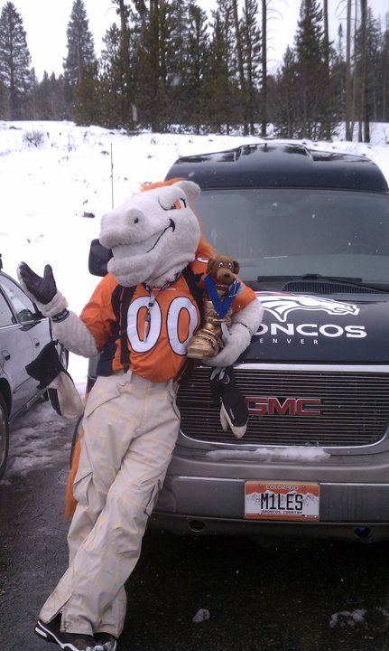 Denver Broncos Miles the Mascot, just out for a drive, we're guessing? Denver Broncos Tattoo, Bronco Football, Denver Broncos Baby, Denver Bronco, Denver Broncos Logo, Go Broncos, Mile High Club, Denver Broncos Football, Broncos Football