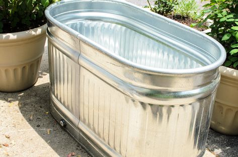 Making a Stock Tank Fish Pond Stock Tank Fish Pond, Outdoor Fish Tank, Galvanized Stock Tank, Diy Stock Tank, Small Water Gardens, Virtual Garage Sale, Fish Pond Gardens, Container Water Gardens, Patio Pond