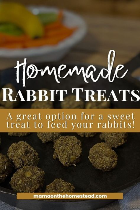 Bunny Homemade Treats, Homemade Rabbit Treats Recipes, Homemade Rabbit Food, Home Made Bunny Treats, Homemade Treats For Rabbits, Bunny Treat Recipes, Rabbit Treats Recipe, Homemade Bunny Treats Recipes, Rabbit Treats Homemade