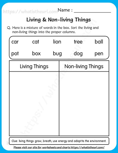 Living and Non-living Things Worksheet for Grade 1 Science Worksheets For Class 1, Science Activities For Grade 1, Science Lesson For Grade 1, Worksheet For Grade 3 Science, Class 1 Science Worksheet, Worksheet For Grade 1 Maths, Worksheets For Grade 1 Science, Science For Class 1, Worksheets For Grade 1 Evs