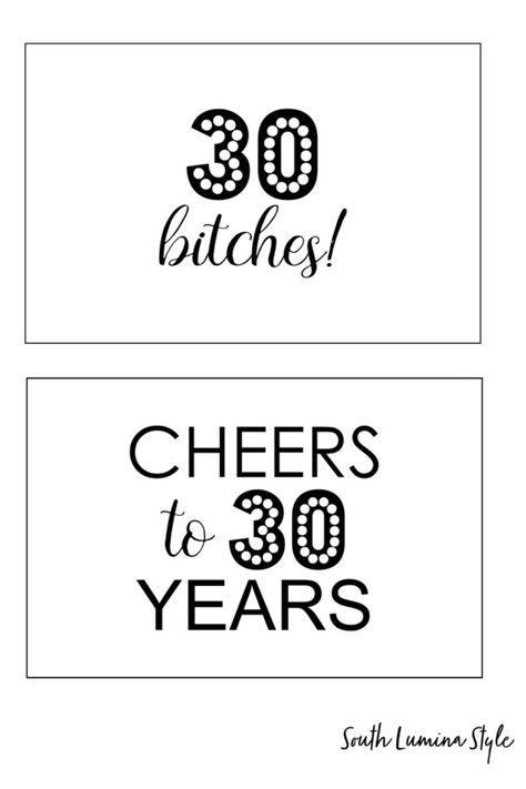 Cheers To 30 Years, 40 Birthday Signs, Birthday Party Signs, Tissue Paper Garlands, Milestone Birthday Party, 30th Birthday Party, Birthday Party Printables, Adult Birthday Party, 30th Birthday Parties