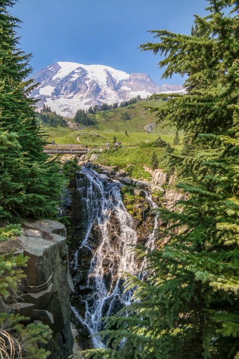 Myrtle Falls Mount Rainier Washington Myrtle Falls Mt Rainier, Pictures Of Paradise, Paradise Pictures, Washington State Travel, Mt Rainier National Park, Mount Rainier National Park, Rainier National Park, Park Ranger, Olympic National Park