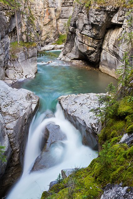 Maligne Canyon. Jasper National Park, Alberta, Canada Jasper National Park Canada, Jasper National Park, Cheap Flight, Cheap Flight Tickets, Fairy Queen, Flight Tickets, Beautiful Waterfalls, Canada Travel, Pretty Places