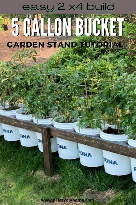 Tired of your 5-gallon bucket garden being messy and disorganized. Build a stand to showcase your plants and save room in your outdoor area. Bucket Garden Stand, Gallon Bucket Garden, 5 Gallon Bucket Garden, Bucket Garden, Bucket Gardening, Convertible Furniture, Garden Stand, Kitchen Interior Design Decor, Save Room