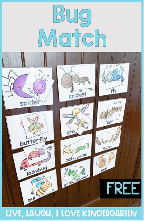 Bugs Learning Activities, Insect Lessons For Preschool, Bug Investigation Preschool, Bugs Toddler Crafts, Bug And Insect Activities For Toddlers, Bugs Life Preschool Activities, Bugs And Insects Theme Preschool, Bugs Lesson Plan, Bugs Prek Activities