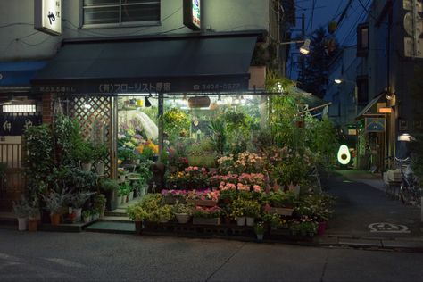 Harajuku, Tokyo Harajuku Japan, Harajuku Tokyo, Aesthetic Japan, Japanese Aesthetic, Nature Aesthetic, Pretty Places, Green Aesthetic, Flower Shop, Pretty Pictures