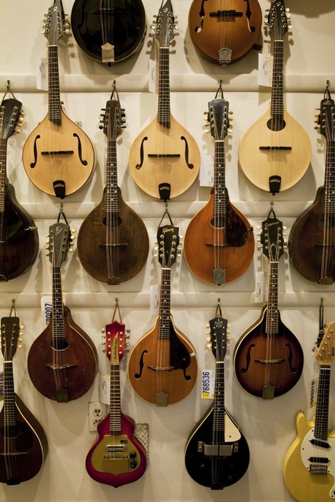 beautiful Mandolin Aesthetic, Mandolin Instrument, Americana Music, Ukulele Music, Mountain Music, Led Band, Music Heals, Making Music, Increase Sales