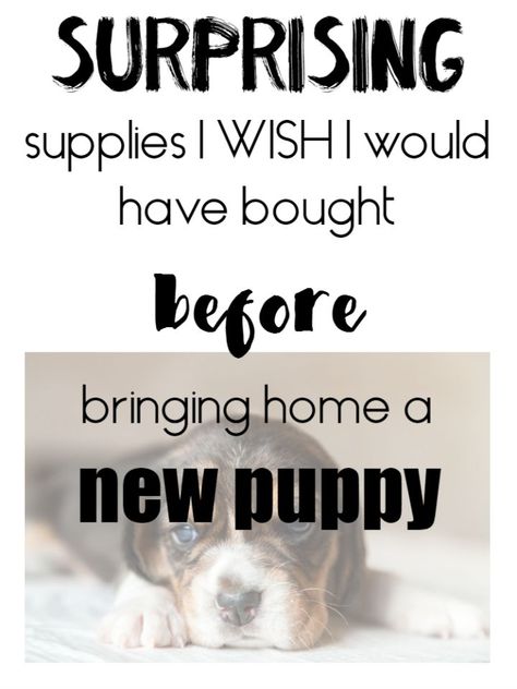 Make sure to check out this list of surprising puppy supplies before your new puppy comes home! Make sure to check out #5! First Puppy, Puppy Items, Puppy Obedience Training, Puppy Time, Puppies Tips, Positive Dog Training, Easiest Dogs To Train, House Training Dogs, Dog Training Advice