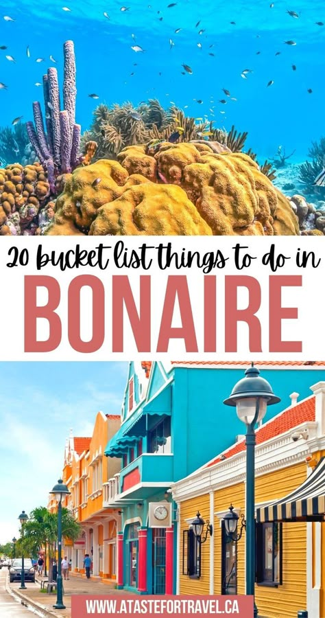 20 Bucket List Things to Do in Bonaire Bonaire Things To Do, Things To Do Bucket List, Aruba Cruise, Caribbean Destinations, Caribbean Vacations, Caribbean Travel, Caribbean Cruise, Business Trip, Island Travel