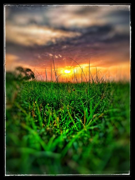 Shinning sun and dew All Begraund, Nature, Sun Background For Editing, Natural Background For Editing, Bc Background Hd, Morning Background, Dslr Blur Background, Nature Background Images, Photoshop Backgrounds Backdrops