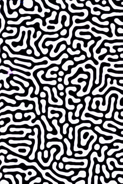 Black and White Security Pattern Op Art, Motifs Organiques, Memphis Design, Organic Pattern, Black White Pattern, ดินปั้น Polymer Clay, Illustration Inspiration, Graphic Patterns, Art Graphique