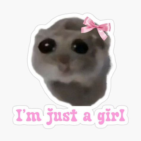 Get my art printed on awesome products. Support me at Redbubble #RBandME: https://www.redbubble.com/i/sticker/Sad-hamster-I-m-just-a-girl-by-suzancreations/159288263.EJUG5?asc=u I Am Just A Girl Sticker, Im Just A Girl Hamster, I M Just A Girl, Rave Totems, I’m Just A Girl, Memes Stickers, Silly Animal Pictures, Friend Wallpaper, Girls Stickers