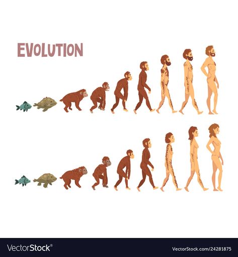 Evolution Diagram, Evolution Cartoon, Wild West Crafts, Evolution Of Man, Evolution Art, Woman Vector, Social Media Drawings, Theory Of Evolution, Human Evolution