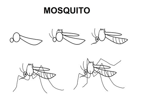 Step-by-step to draw a mosquito Mosquito Drawing Easy, Mosquito Tattoo, Drawing Easy For Beginners, Mosquito Drawing, Fly Drawing, Cracked Wallpaper, Birthday In Heaven, Medical Art, Drawing Tutorial Easy