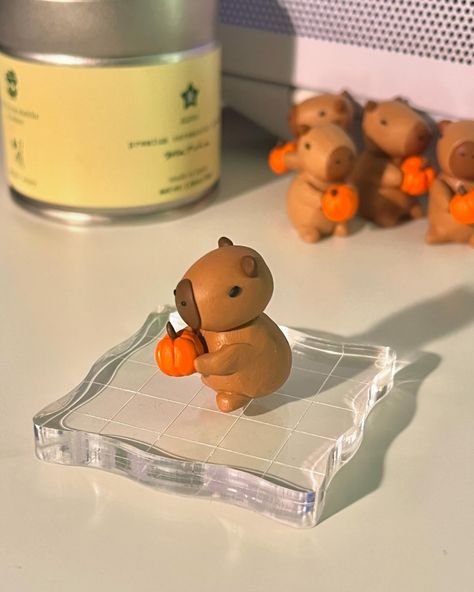 ଘ(੭ˊᵕˋ)੭* ੈ✩‧˚ i made pumpkin capybara desk friend for this fall season!! i'll be adding her to my shop very soon! (the ones in the back are the ones who didnt make the final cut..) #autumn #smallbusiness #capybara #pumpkinspice #cute #matcha #coffee #coquette #desksetup Bear Clay, Desk Friend, Matcha Coffee, Clay Pumpkin, Clay Bear, When Life Gets Tough, Cute Desk, Cute Clay, Autumn Season