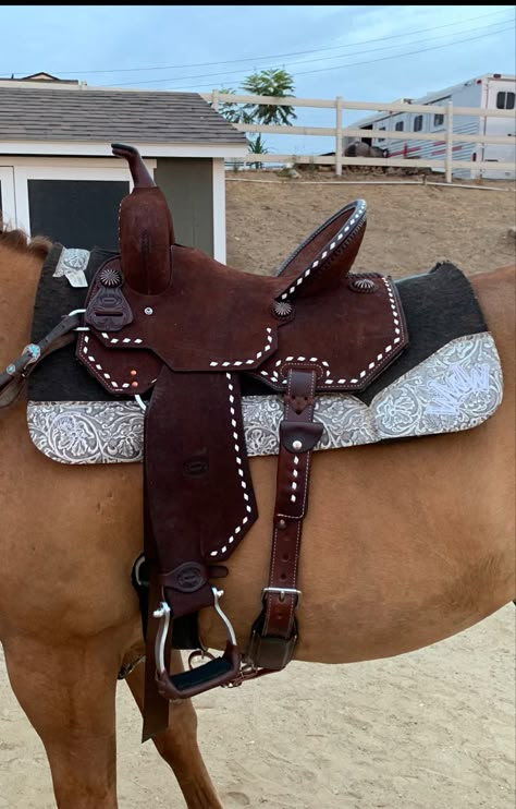 Robbie Phillips Barrel Saddle, Barrel Tack Sets, Barrel Racing Saddles For Sale, Buck Skin Horse, Barrel Horse Tack, Fancy Horse Tack, Barrel Racing Aesthetic, Western Horse Tack Turquoise, Horse Tack Western