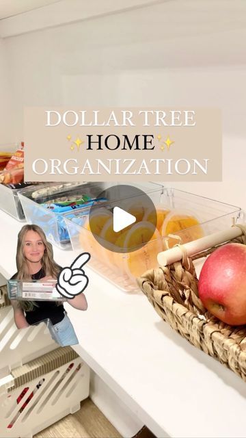 Emma Villaneda on Instagram: "Dollar Tree ✨HOME✨ ORGANIZATION ideas!

👉🏻 Which idea was your favorite?! 

🤩📸👇🏻 SHOPPING list:
🛒 Dollar Tree Foldable Step Stool
🛒 Dollar Tree Under Sink Organizer 
🛒 Dollar Tree Light Censor Plug In
🛒 Dollar Tree Clear Acrylic Bins 

#diy #organization #organizationideas #dollartree #dollar #hack #homehacks #home #homedesign #diyproject #tutorial #hacks #beforeandafter #design #pantry #kitchen #bathroom" Under The Sink Organization Kitchen Dollar Tree, Dollar Tree Acrylic Organizer, Grocery Organization Ideas, Walmart Hacks Diy, House Organization Ideas Dollar Stores, Dollar Tree Tea Organizer, Dollar Tree Kitchen Hacks, Bathroom Closet Organization Dollar Tree, Dollar Tree Spice Organization