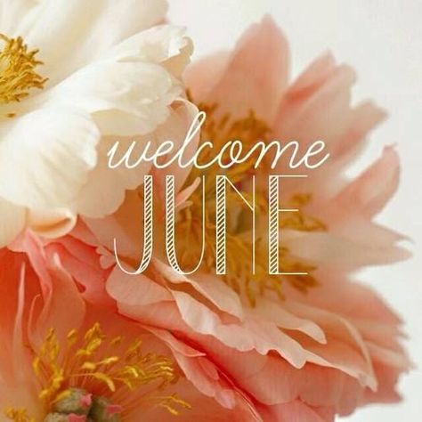 Welcome June june month hello june june quotes hello june quotes welcome june Welcome June Images, June Pictures, June Celebrations, June Quotes, Welcome June, Neuer Monat, Seasons Months, Happy June, Hello June