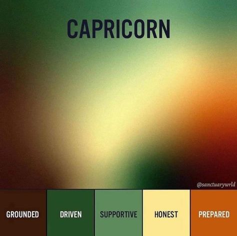 Capricorn Colours, Capricorn Color Palette, Capricorn Colors, Capricorn Nails, Capricorn Aesthetic, Sea Goat, Zodiac Fashion, Aesthetic Reference, Zodiac Aesthetic