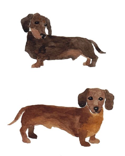 Watercolour Dogs, Dachshund Painting, Vintage Dachshund, Dachshund Art, Bio Art, 강아지 그림, Arte Inspo, Watercolor Dog, Dog Illustration