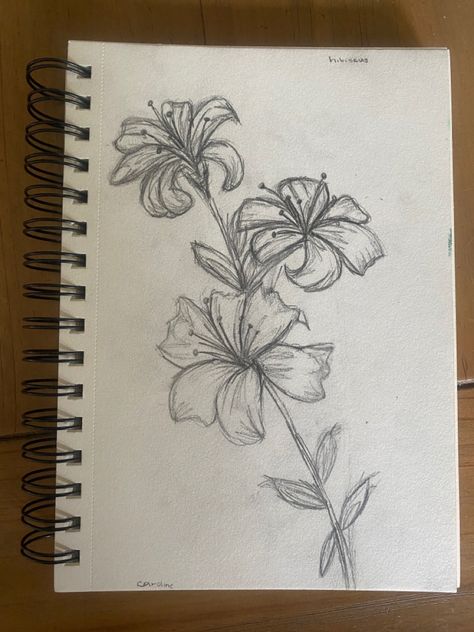 Flower drawing Pencil Drawing Hands, Aesthetic Drawings Easy, Inspo Drawing Ideas, Full Page Drawings, Artists Block, Hibiscus Flower Drawing, Aesthetic Drawings, Drawing Hands, Drawing Aesthetic