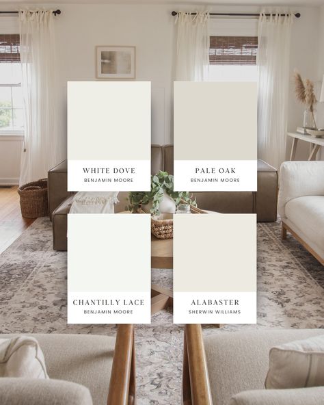 Best White Paint Colors Creamy White Paint, White Dove Benjamin Moore, Off White Paint Colors, Paint Color Trends, Cream Paint Colors, White Interior Paint, Dove Painting, Top Paint Colors, White Paint Color