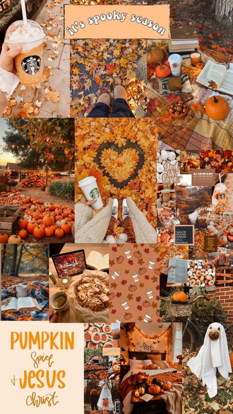 Fall collage Asthetic Wallpers Iphone Brown, Fall Calloge, Fall Pic Collage, Autumn Aesthetic Wallpaper Collage, October Collage, November Collage, Fall Wallpaper Collage, Fall Asthetic Wallpers Iphone, Fall Collage Wallpaper