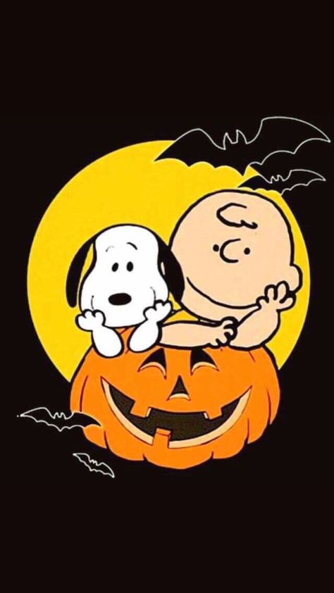 Charlie Brown Pumpkin, Charlie Brown Wallpaper, Halloween Snoopy, Charlie Brown Halloween, Great Pumpkin Charlie Brown, Peanuts Halloween, Peanut Gang, Snoopy Halloween, Snoopy Funny