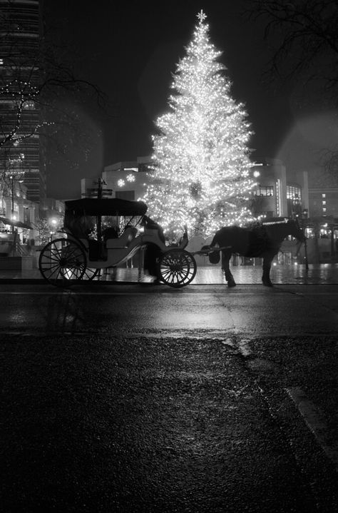 Natal, Crismas Tree, New York Christmas Aesthetic, Black White Christmas, Nyc Christmas, Dark Christmas, Christmas Aesthetic Wallpaper, Merry Christmas Eve, Black Christmas