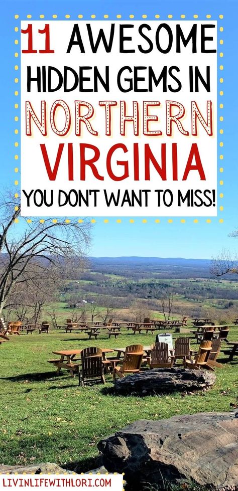 Virginia Vacation, Virginia Wineries, Fredericksburg Virginia, Road Trip Places, East Coast Road Trip, Virginia Travel, Shenandoah National Park, Northern Virginia, Weekend Trips