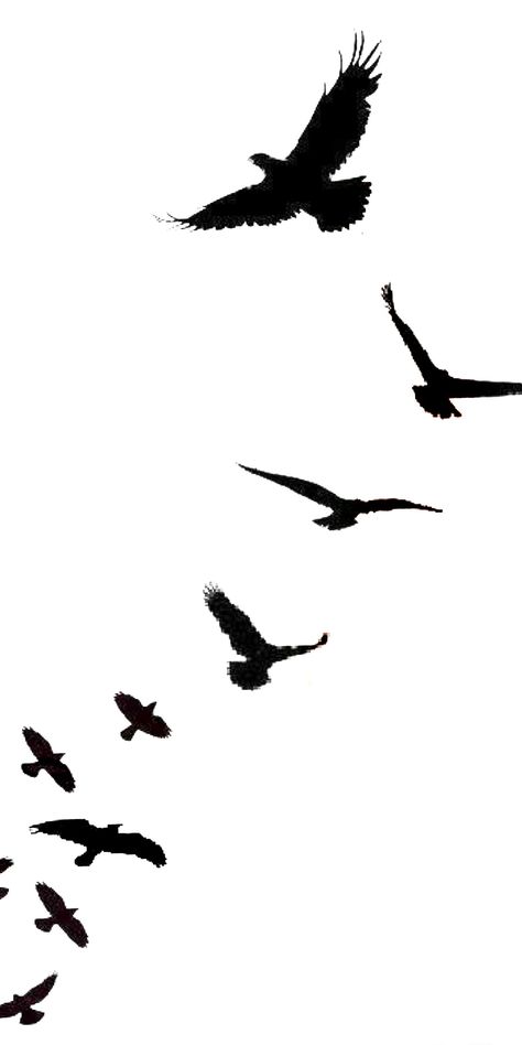 Blacked Out Bird Tattoos, Bird In Flight Silhouette, Flying Bird Tattoo Men, Birds In Flight Tattoo, Black Birds Tattoo, Bird Tattoo Black, Black Birds Flying, Birds Tattoo Design, Black Bird Art