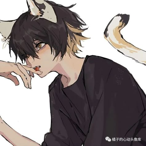 Catboy Drawing, Wolf Oc Character Design, Catboy Pfp, Catboy Anime, Cat Ears And Tail, Anime Cat Boy, Hybrid Cat, Neko Boy, Ears And Tail