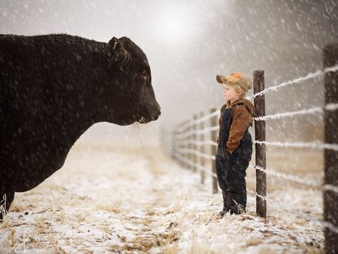 “ kingxen: “ The Agreement (color) by shadenfeldt1 ” ” Farm Kids, Country Kids, Black Cow, Ranch Life, Country Farm, Jolie Photo, Pics Art, Country Life, Animals Friends