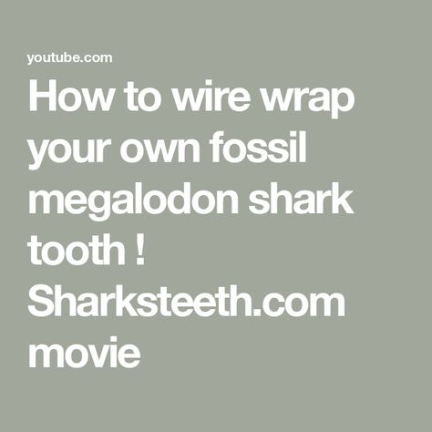 How to wire wrap your own fossil megalodon shark tooth ! Sharksteeth.com movie Megalodon Movie, Entrepreneur Kids, Megalodon Shark, How To Wrap, Shark Tooth, Shark Teeth, Wire Wrap, Wire Wrapping, Fossil