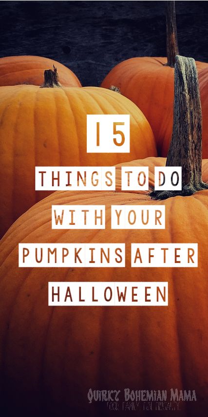 15 Ways to Recycle Your Pumpkins After Halloween, 15 Things To Do with Your Leftover Pumpkins, How to Recycle a pumpkin. Fall Pumkin Decoration, What To Make With A Pumpkin, What To Do With A Pumpkin, What To Make With Pumpkin, What To Do With Pumpkins, Fall Pumpkin Crafts, Pumpkin Uses, Large Pumpkins, Leftover Pumpkin