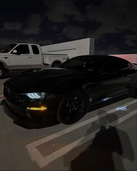 Mustang Night, Azlia Williams, Gray Hour, Astetic Pics, Billionaire Husband, Mustang Gt Premium, Canada Pictures, S550 Mustang, New Ferrari