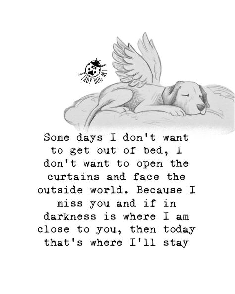 Time doesn’t heal everything. I had this awesome comment on Facebook the other day and it made my heart feel really happy. I posted that over 3 years I’ve self published 2 little books of affirmations. To which Carmen commented Please don’t diminish your accomplishments. You didn’t publish two ‘little’ books. You have, so far, published two books. You should say you’re a published author. PERIOD So here is a page from one of my books…. Because I AM A PUBLISHED AUTHOR 🤍 Losing A Dog Quotes, Dog Heaven Quotes, Love Parents Quotes, Miss My Dog, Dog Quotes Love, Dog Heaven, Bug Art, Boxer Love, Published Author