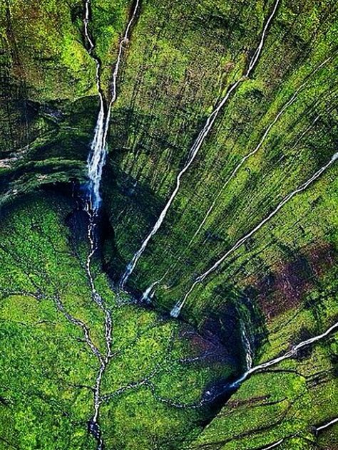 Hawaii's 'Weeping Wall' Is A Misty Oasis Of Waterfalls-Mount Waialeale-Kauai Waimea Canyon, City Slickers, Kauai Hawaii, Hawaii Vacation, Hawaiian Islands, Big Island, Island Life, Kauai, Amazing Nature