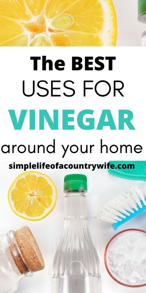 uses for white vinegar White Vinegar Cleaning Spray, White Vinegar Uses, Vinegar Cleaning Hacks, Uses For White Vinegar, Spider Repellent, Uses For Vinegar, Cleaning Vinegar, Overcome Laziness, White Vinegar Cleaning