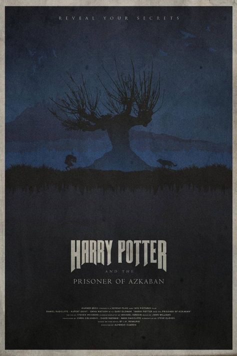 Gary Oldman Harry Potter, Poster Harry Potter, Harry Potter Poster, The Prisoner, The Prisoner Of Azkaban, Prisoner Of Azkaban, Movie Poster Wall, Harry Potter Film, Harry Potter Wallpaper