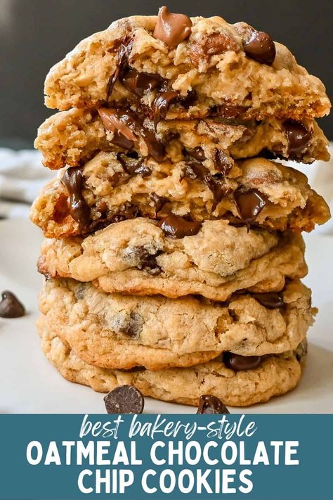 Oatmeal Chip Cookies Recipe, Large Oatmeal Chocolate Chip Cookies, Best Oatmeal Chocolate Chip Cookies Ever, Oatmeal Everything Cookies, Chik Fil A Oatmeal Chocolate Chip Cookies, Choc Chip Oatmeal Cookies Recipes, Choco Chip Oatmeal Cookies, Oat Choc Chip Cookies, Thick And Chewy Oatmeal Cookies