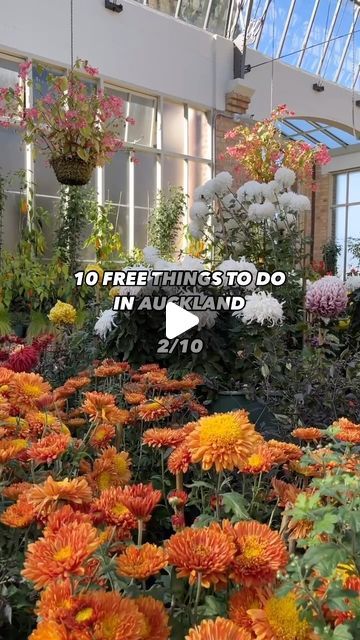 Picturesque Garden, Botanical Display, Instagram Add, Auckland Nz, Auckland City, The Hustle, Plant Species, Rare Plants, Auckland