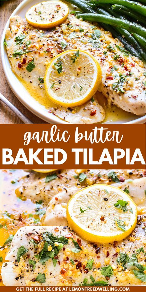 Deliciously flavorful Garlic Butter Baked Tilapia – ready in 20 minutes or less! Perfectly seasoned with a blend of melted butter, garlic, lemon juice, and spices, this recipe is easy, foolproof, and guaranteed to make a tilapia lover out of anyone. Lemon Butter Garlic Fish, Tilapia Dinner, Tilapia Recipes Healthy, Lemon Butter Tilapia, Parmesan Roasted Green Beans, Tilapia Recipes Easy, Lemon Tilapia, Baked Tilapia Recipes, Tilapia Fish Recipes