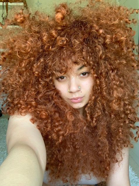 curly hair, copper curly hair, brown curly hair, curly bangs, afro, curly hairstyles, hair dye, natural hair, curls, nose rings Curly Hair Copper, Afro Curly Hairstyles, Dye Natural Hair, Copper Curly Hair, Hair Dye Natural, Curly Ginger Hair, Curly Hair Brown, Natural Hair Curls, 3c Curly Hair